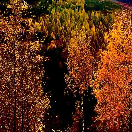 Chalet Ukkohalla, Sivumaeki *